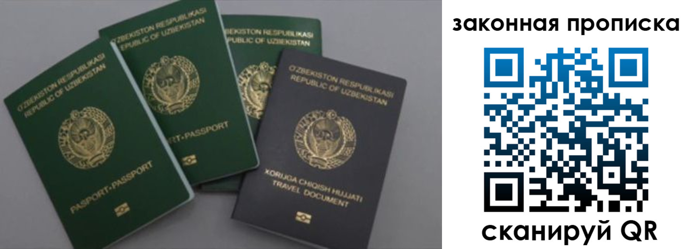 временная регистрация для школы в Биробиджане